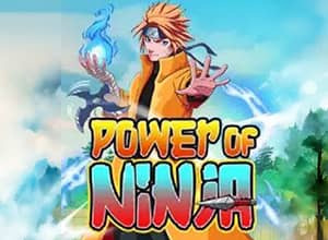Power of Ninja
